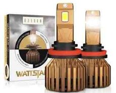 Wattstar led işıqları