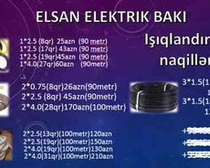 Elektrik naqilləri