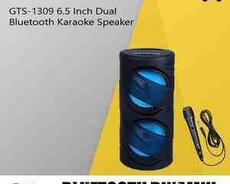 Bluetooth dinamik GTS-1309 6.5 İnch Karaoke