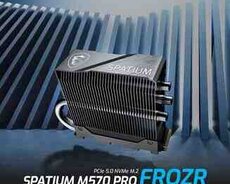 MSI SPATIUM M570 PRO FROZR PCIe 5.0 NVMe M.2 2TB